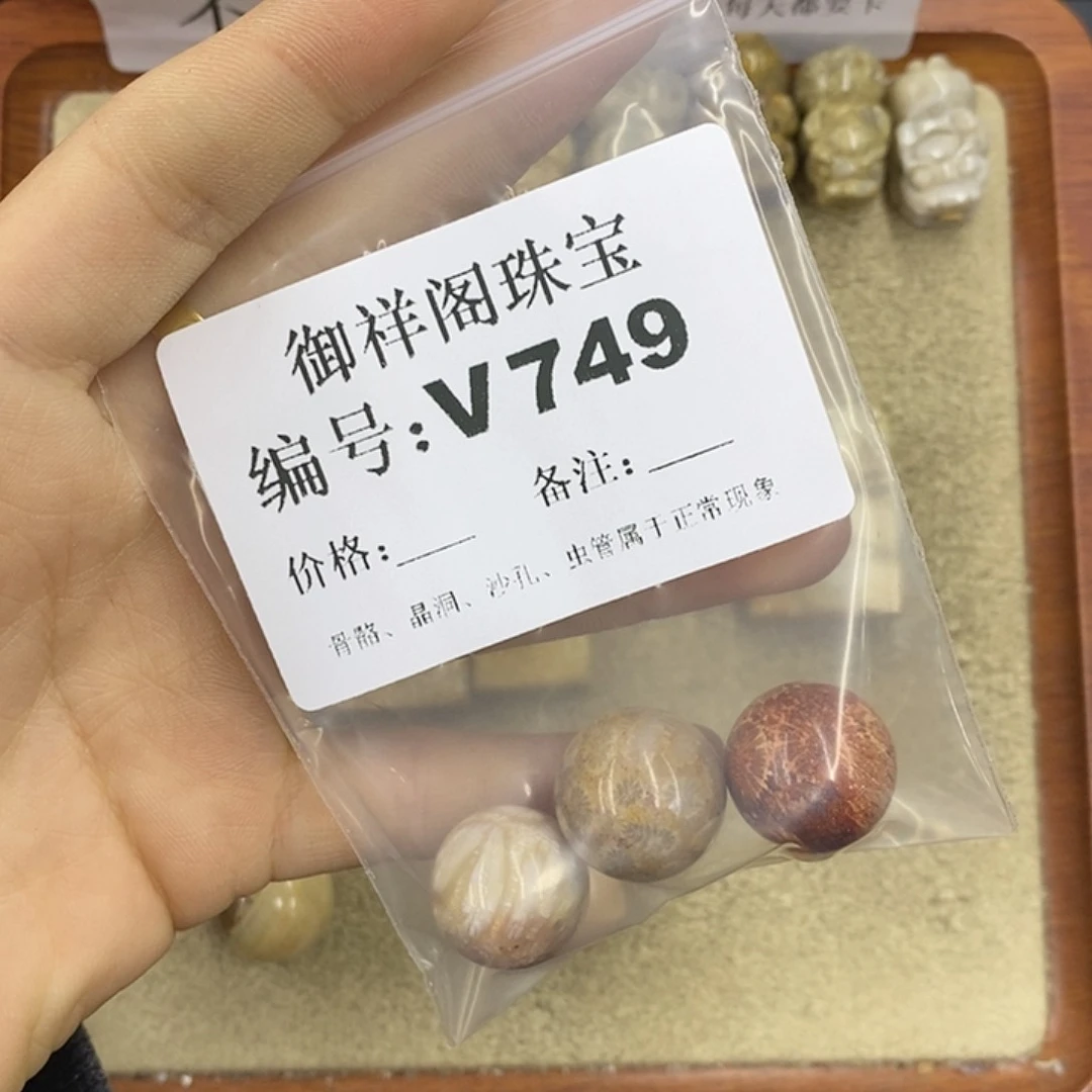 硅化珊瑚（珊瑚玉）颈饰未镶嵌梓*