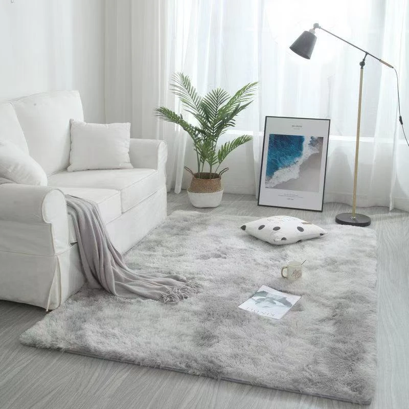 卧室客厅床边飘窗可水洗加厚满铺少女风毛绒地毯长毛