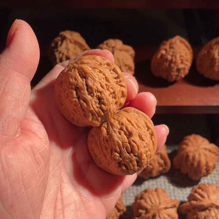 核桃铁锤妹妹全品