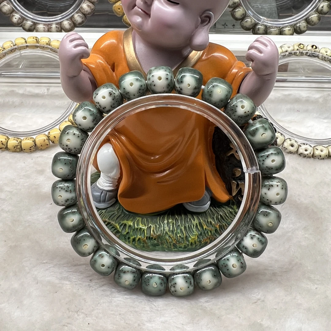 10绿包白大眼睛海南原生态星月菩提