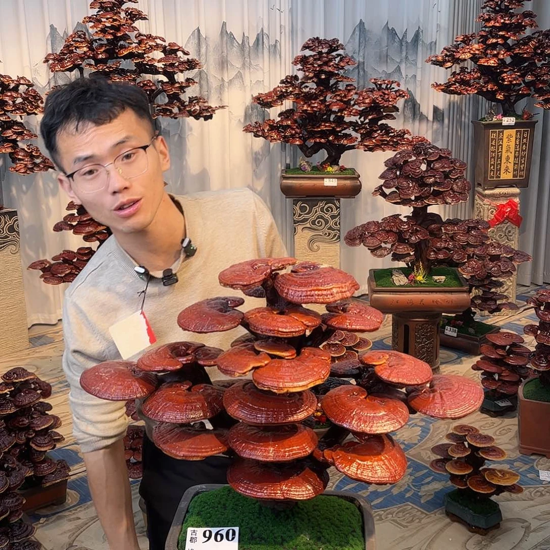 明***悦无花朵8888888888
