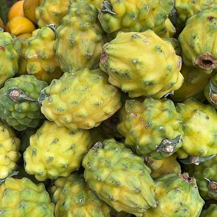 中国大陆燕窝果5斤