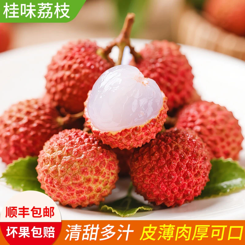 【顺丰包邮】桂味荔枝现摘现发当季孕妇水果新鲜冷链整箱包邮