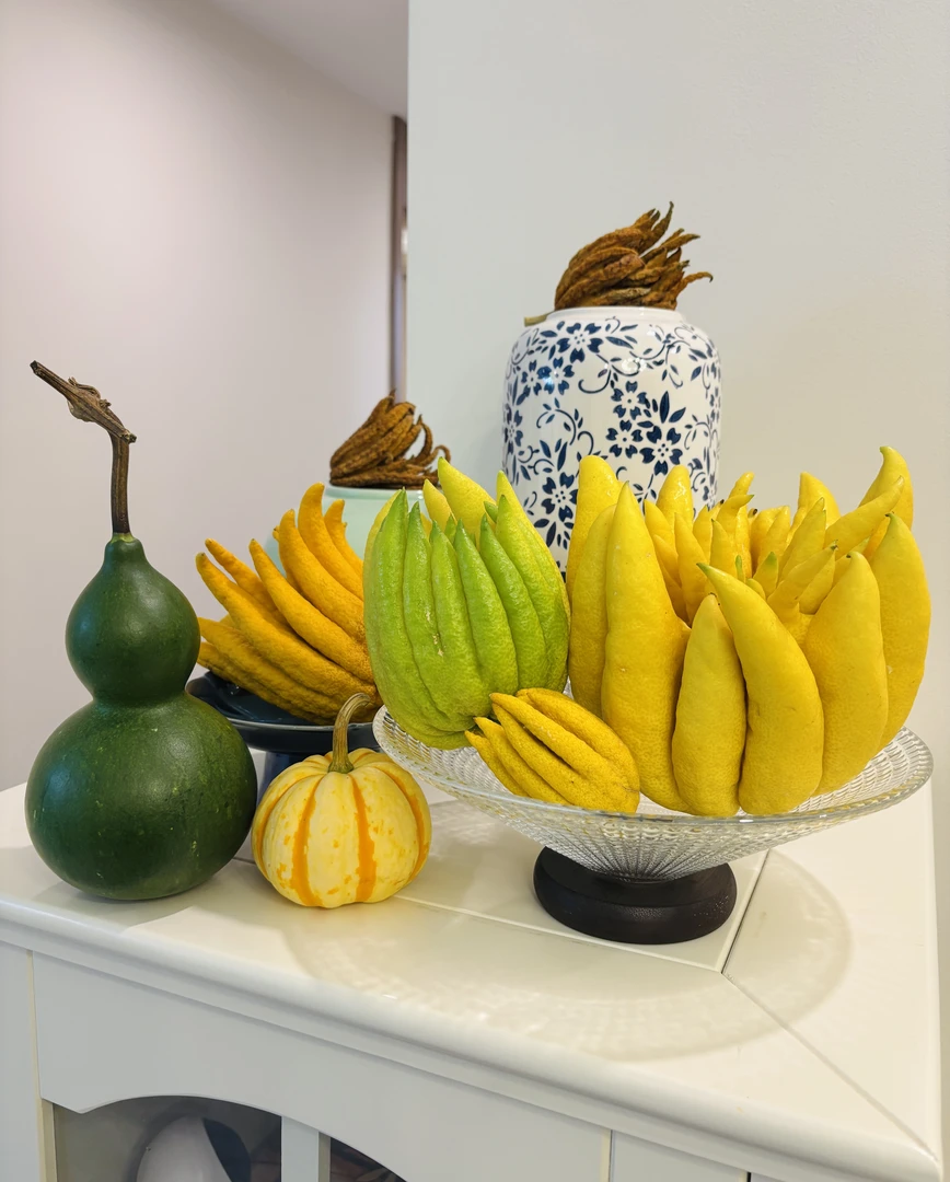 尊享果【大姐夫云南佛手】基地直采直发高端花材观赏闻香12B