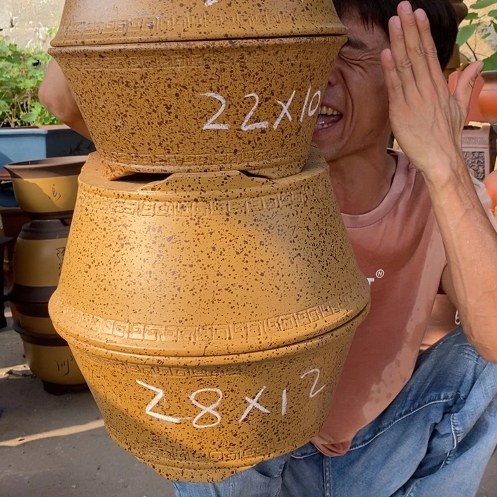 紫砂紫砂紫砂紫砂