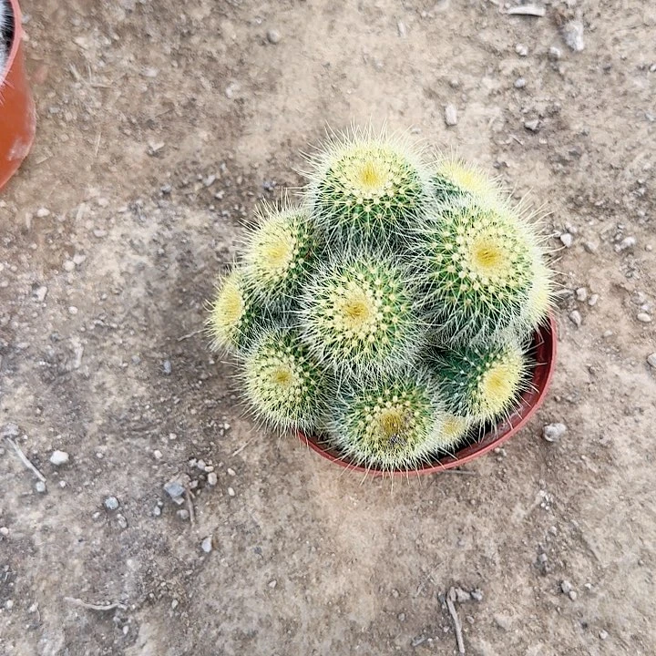 *****哈哈哈哈哈哈哈哈哈哈哈