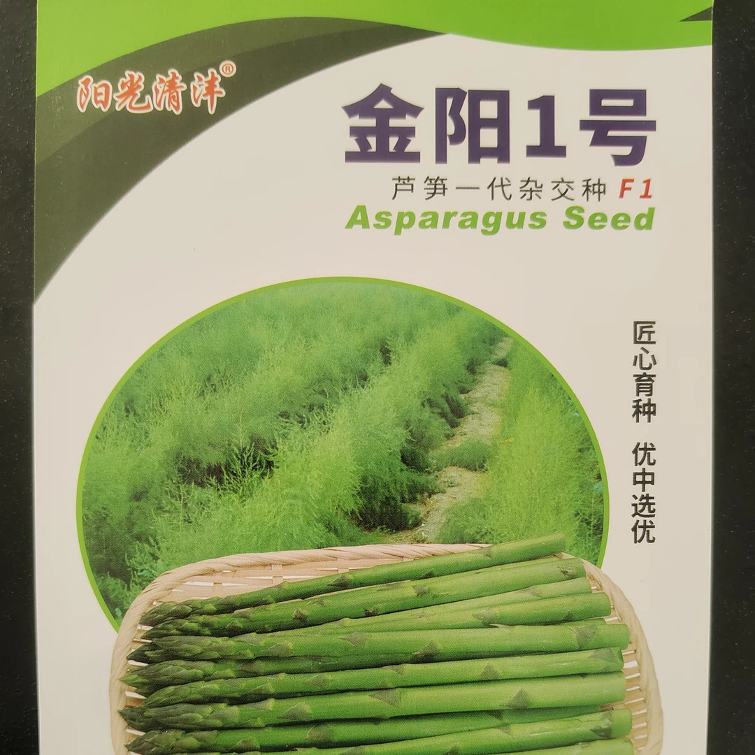 金阳1号高产杂交芦笋种子