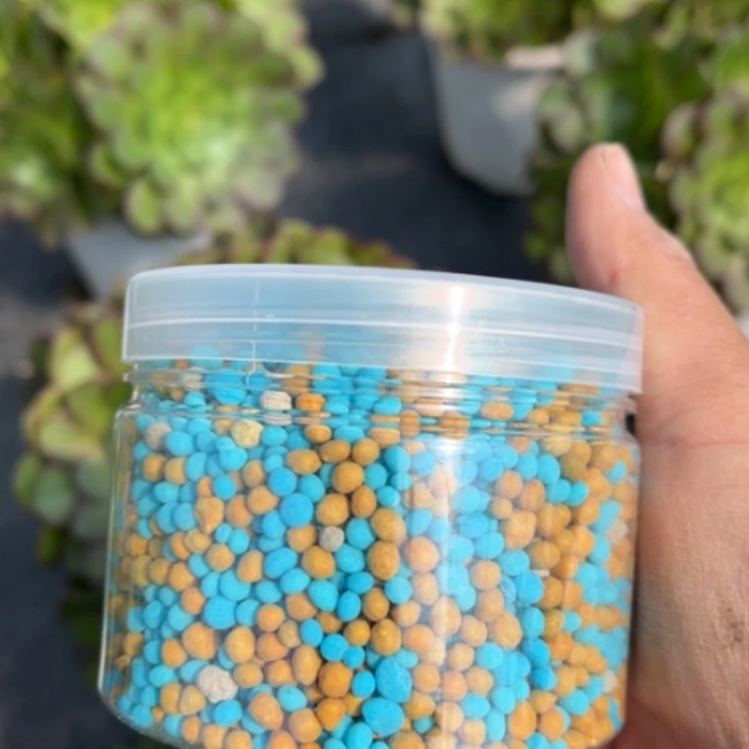 【闪购商品】肥多肉法师