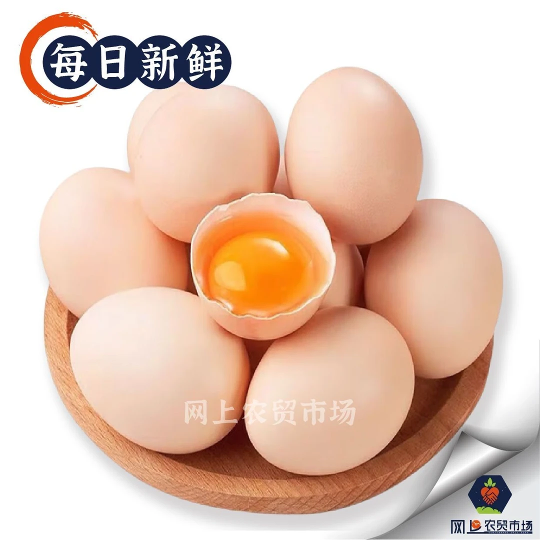 【谷物饲养】土鸡蛋4枚/盒