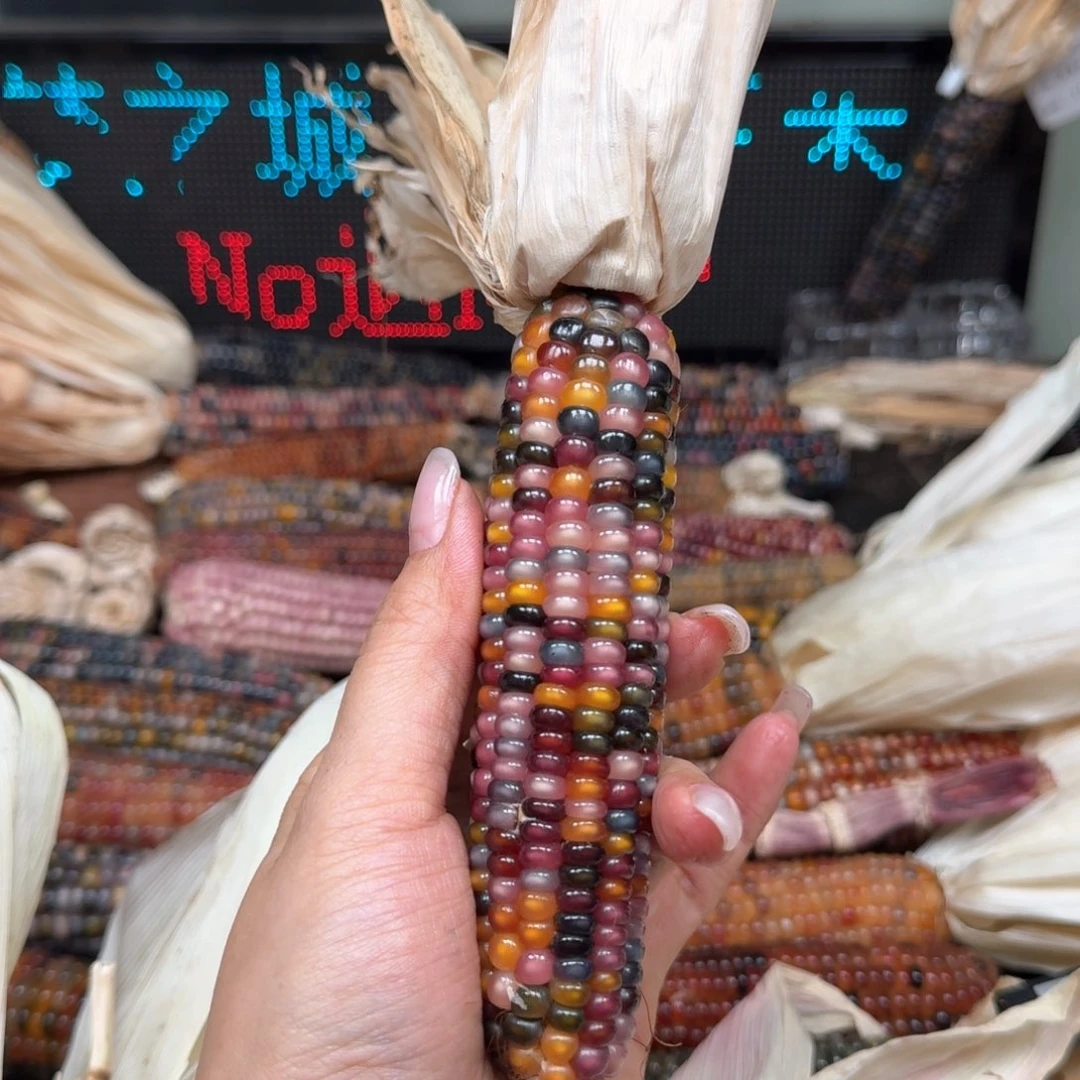 柏香籽/百香籽吊坠啊*啊