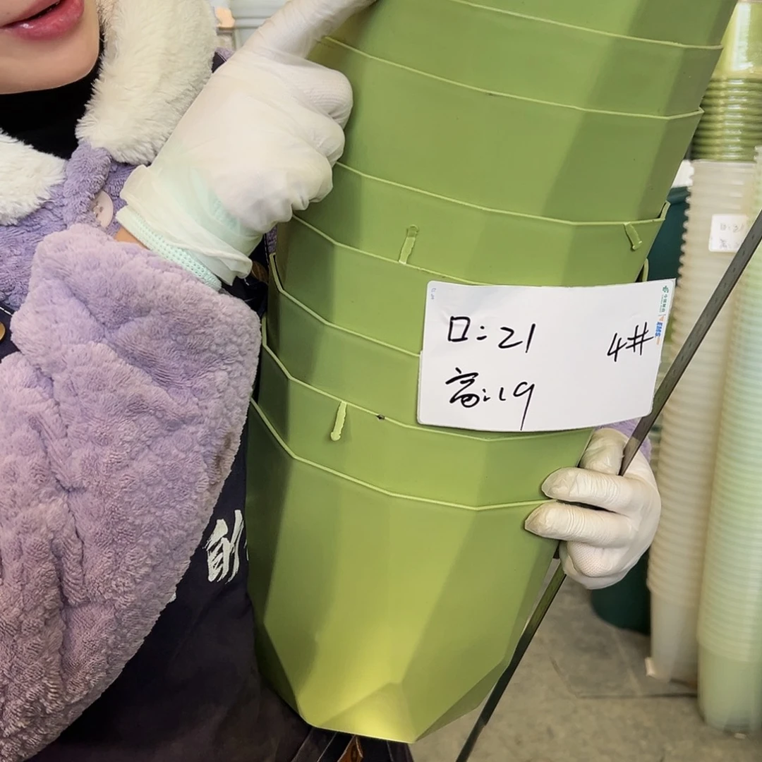 瑕疵雅典盆4#果绿6个无托