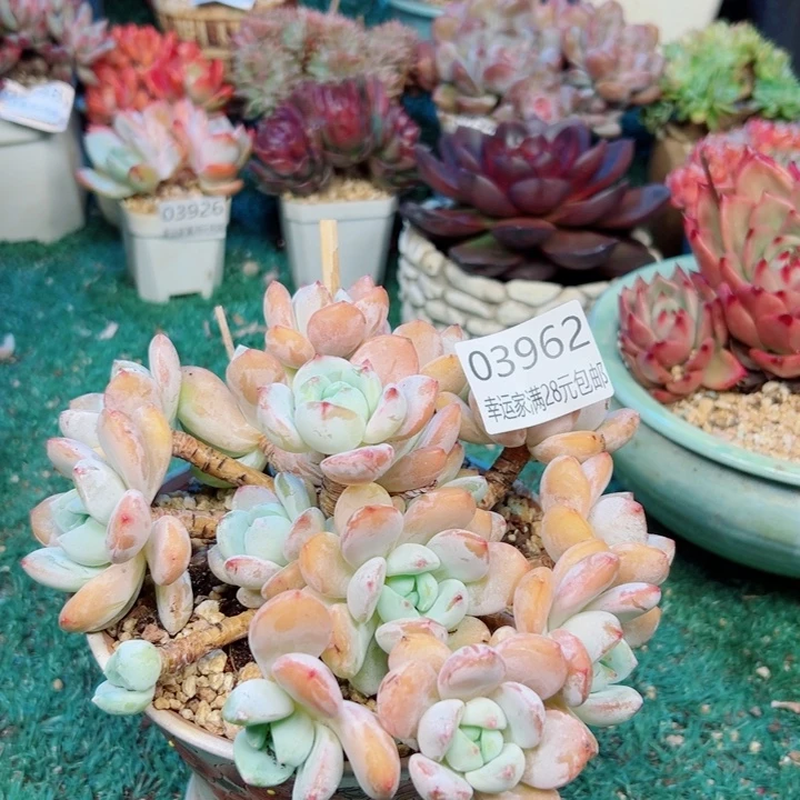 幸运的是我没有遇到