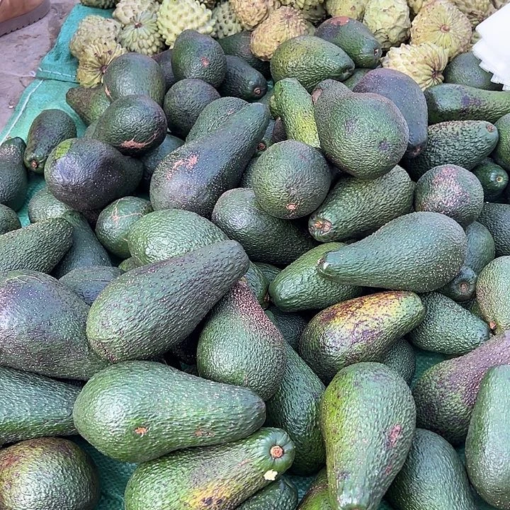 中国大陆人参果5斤