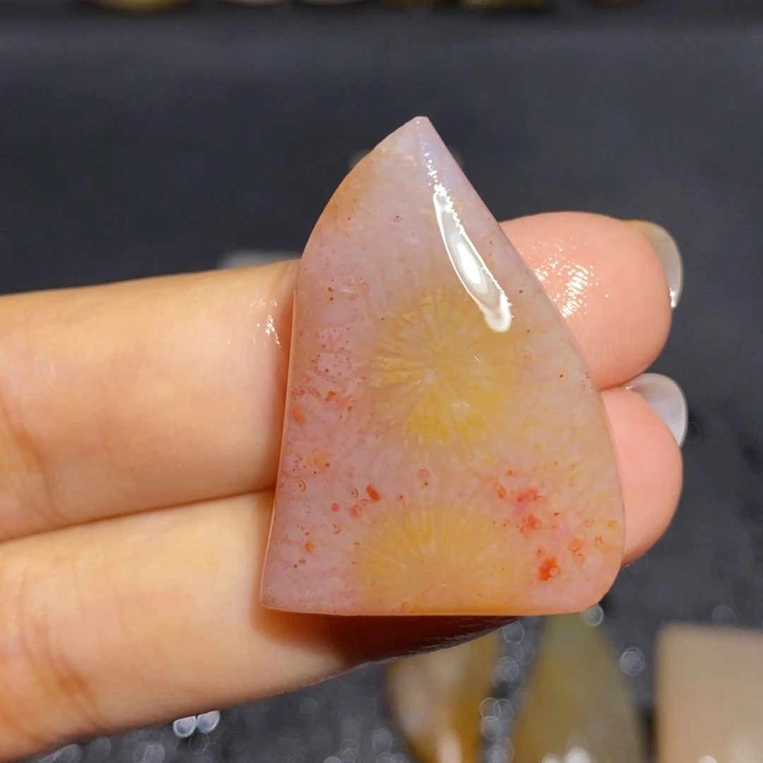 【闪购商品】未镶嵌珊瑚玉硅化玉