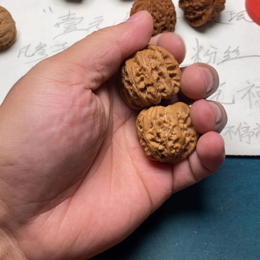 X***吊坠龙脊菩提白狮子 00000331