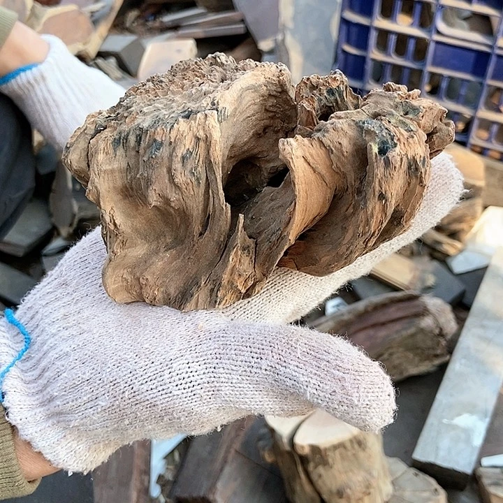 木日**方558毛料毛料毛料毛料