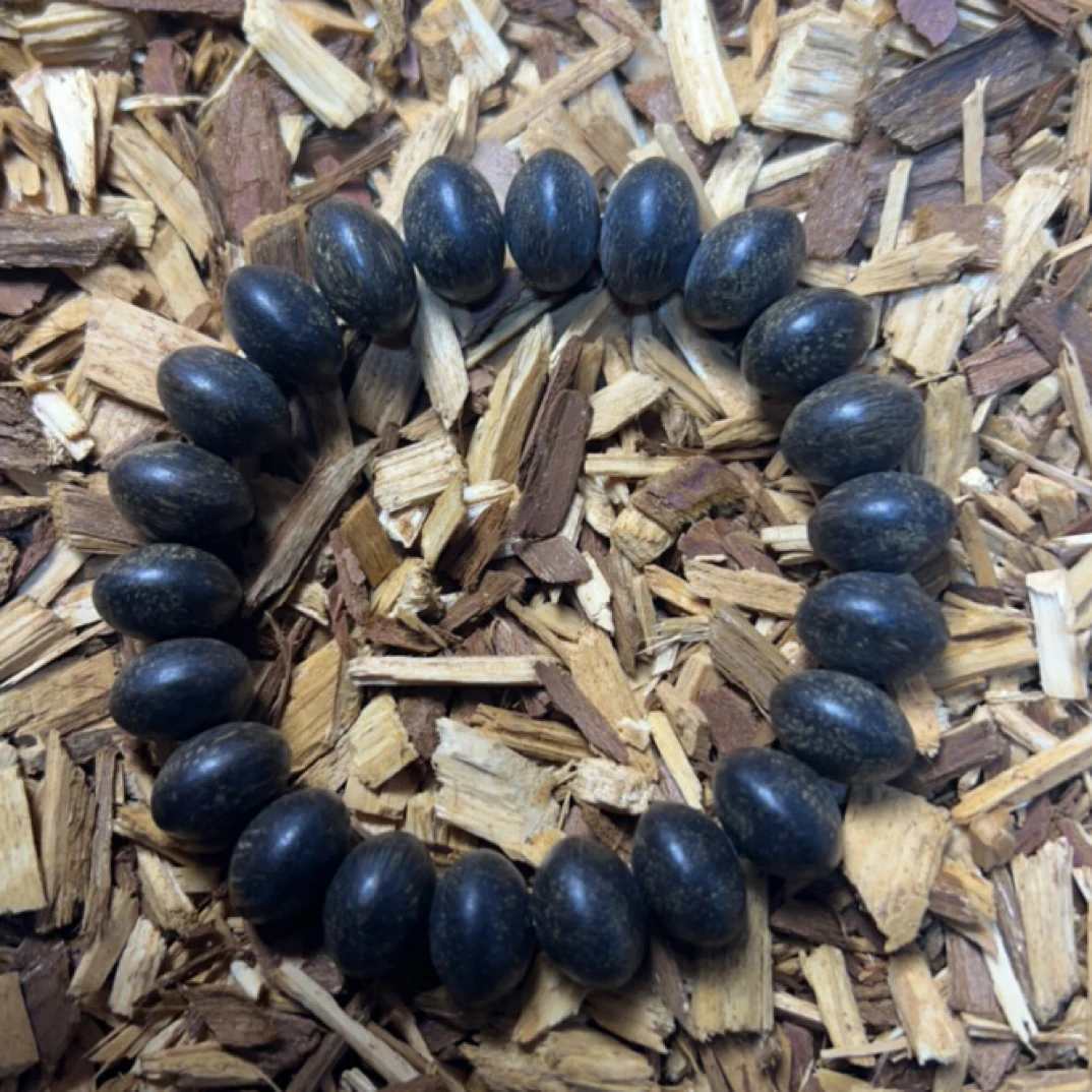 5 福来精选文玩沉香木作手串14mm