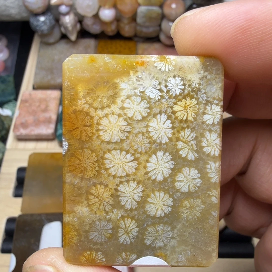 硅化玉未镶嵌纯天然色有机玉石保真色