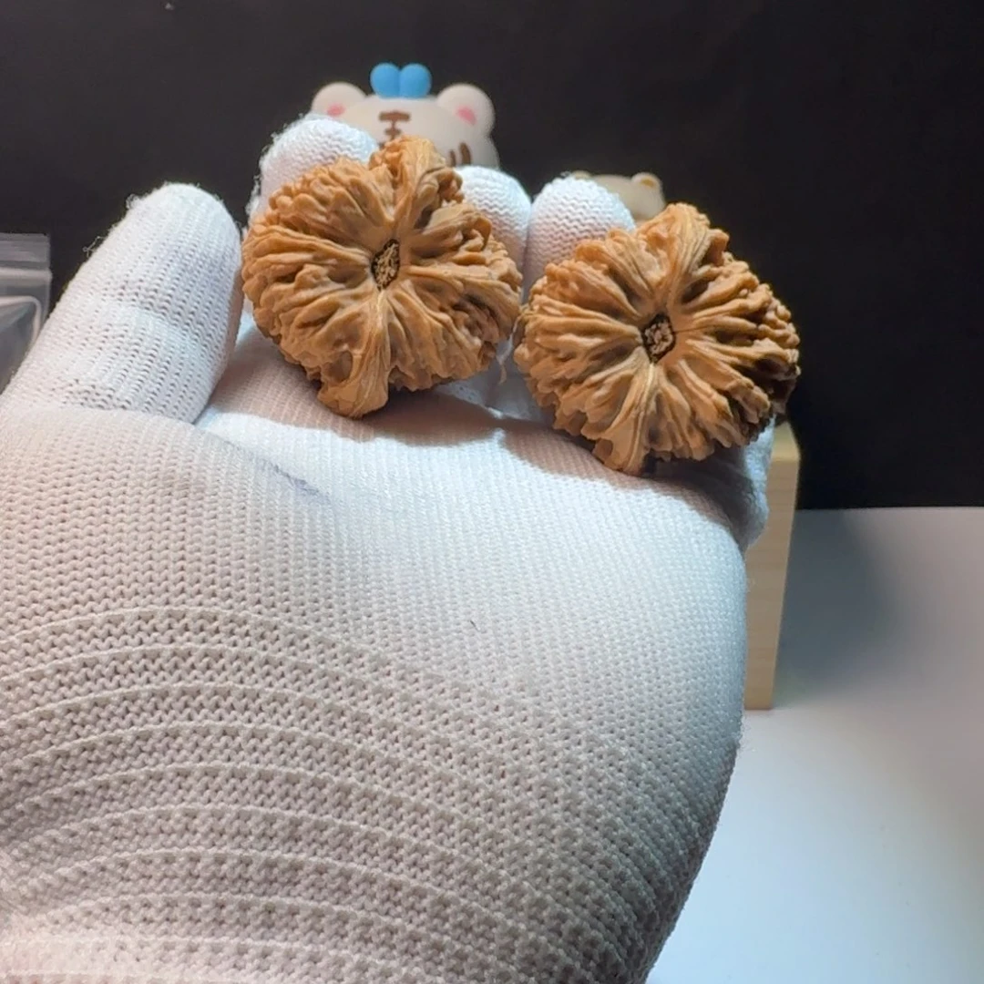 长***.把件文玩核桃6号链接拉丝窝头魔瞳菊花凹