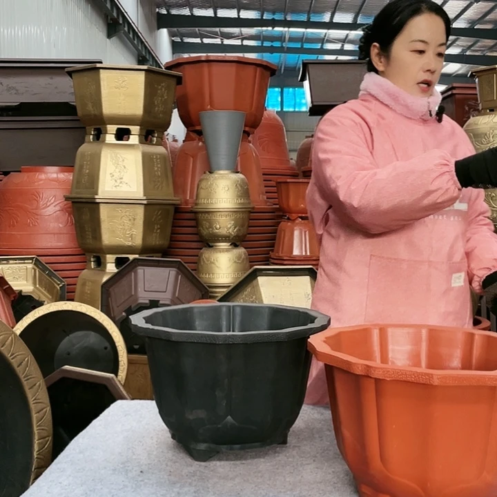 莲花盆红色四零六个