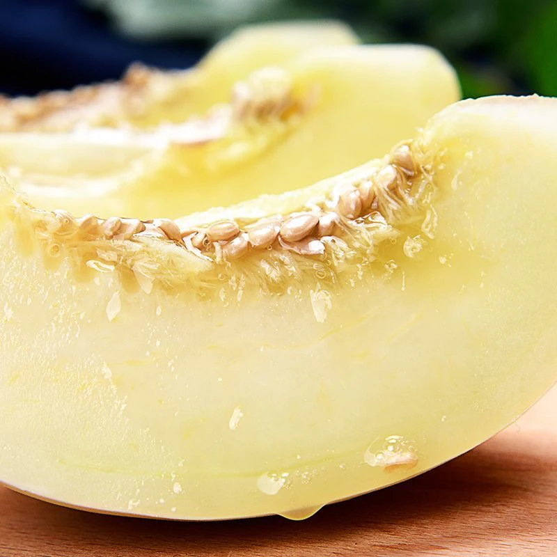 【关支书助农】陕西阎良甜瓜新鲜水果现摘现发