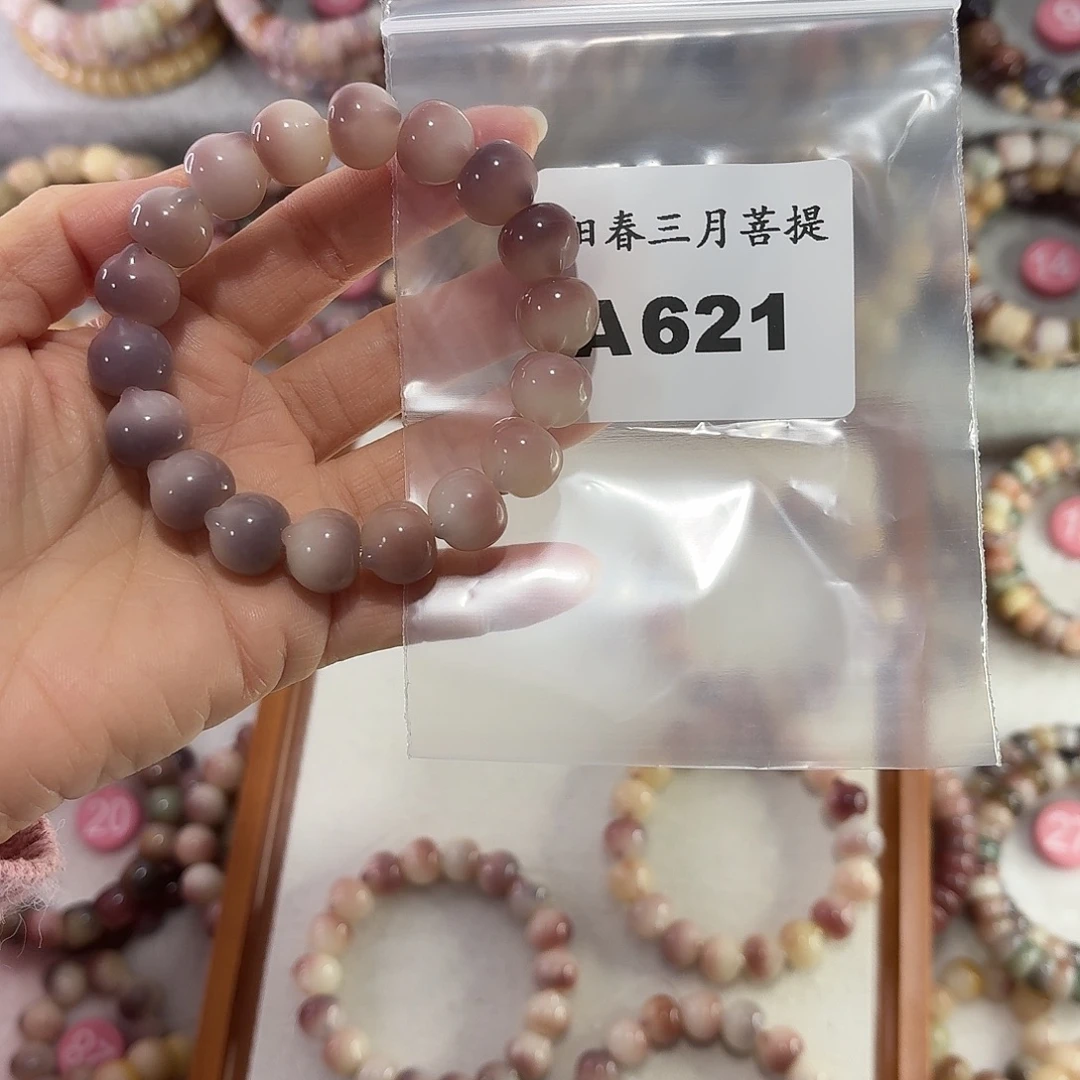 @***美吊坠菩提根/象牙果