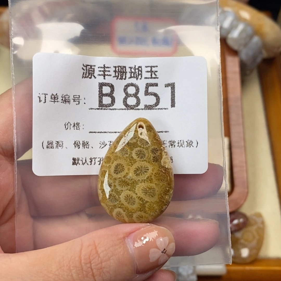 泥***家未镶嵌颈饰硅化玉