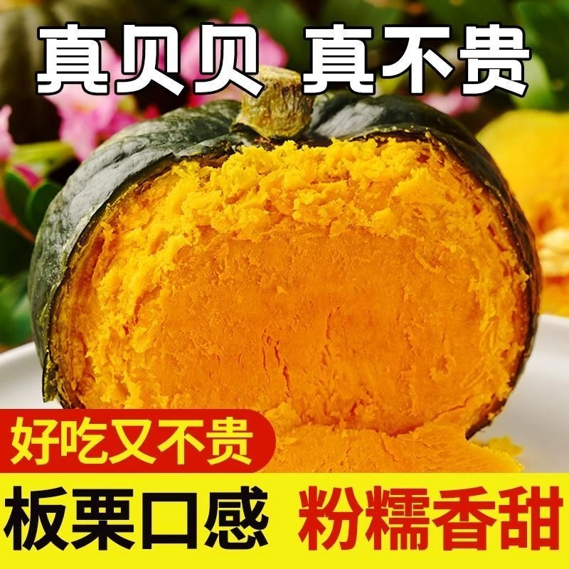乾和胜正宗贝贝南瓜粉糯香甜板栗南瓜新鲜采摘可作婴儿辅食粗粮