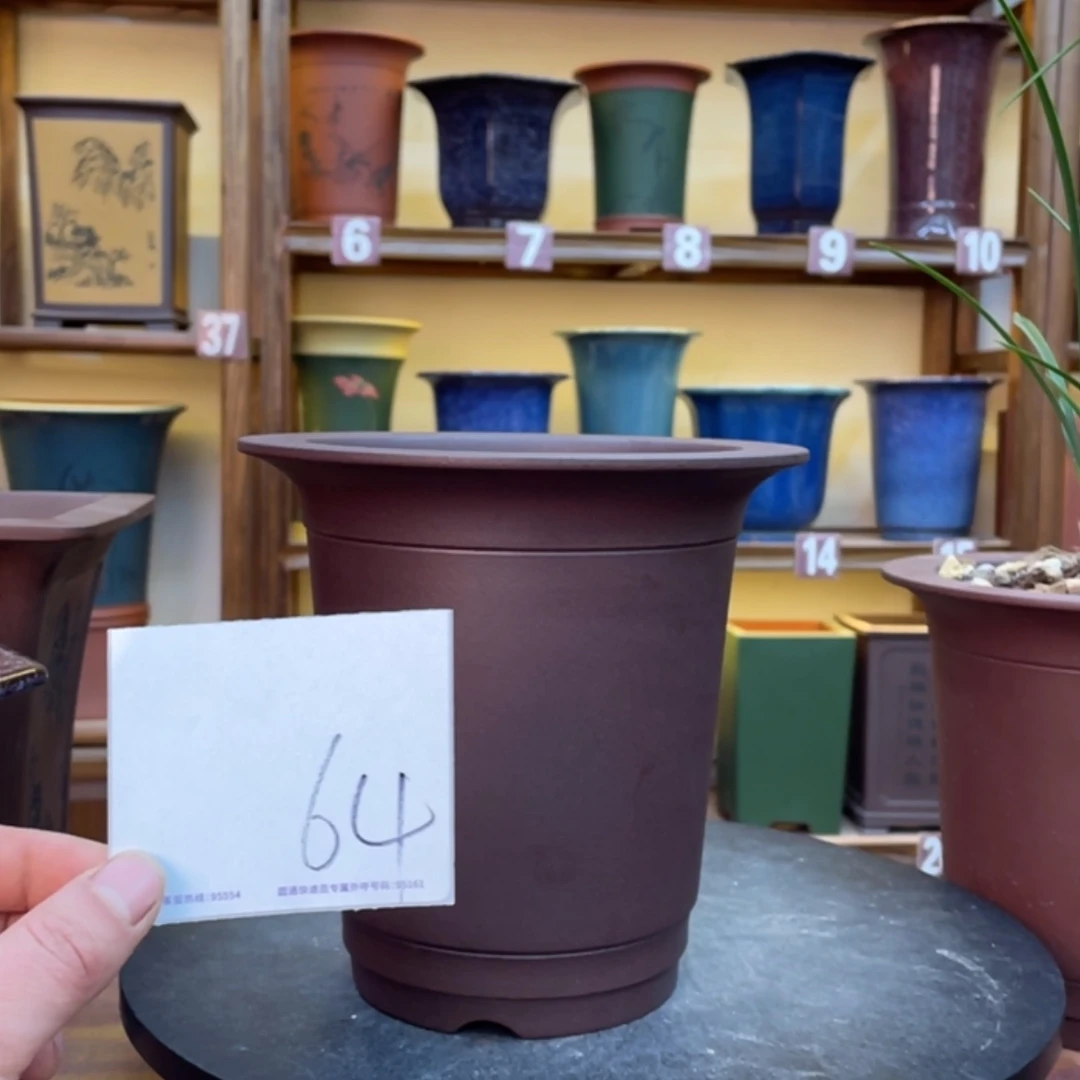 【闪购商品】紫砂花盆兰花943464648764664946