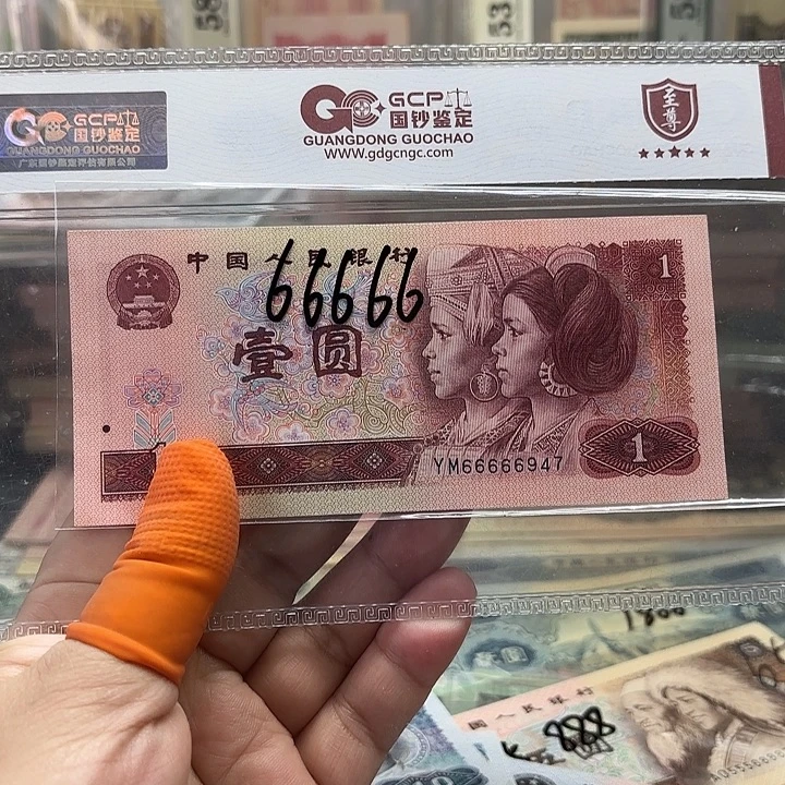 901，老虎头66666———-