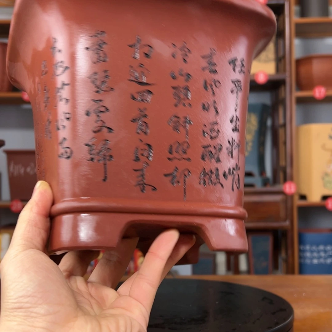 【闪购商品】紫砂花盆逗*玩周之夏精品紫砂花盆