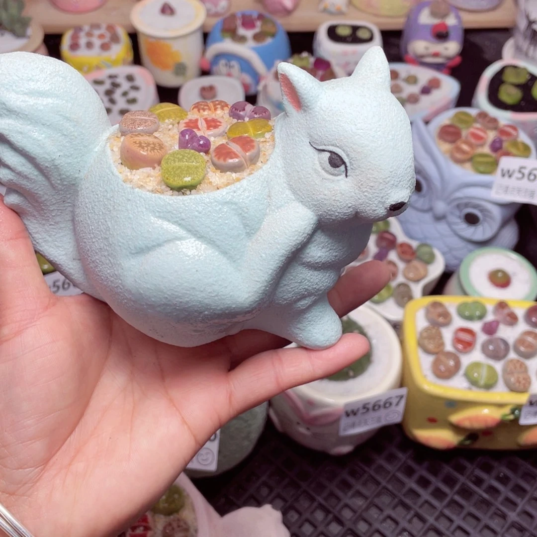 w5671 -零下地区拍保温箱-15支持寄养