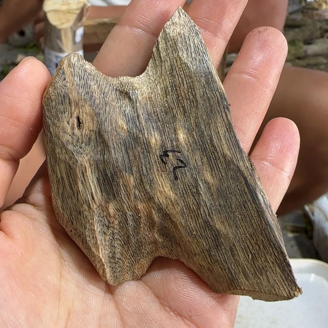 沉香碎屑沉香23号奇楠沉香原木一个