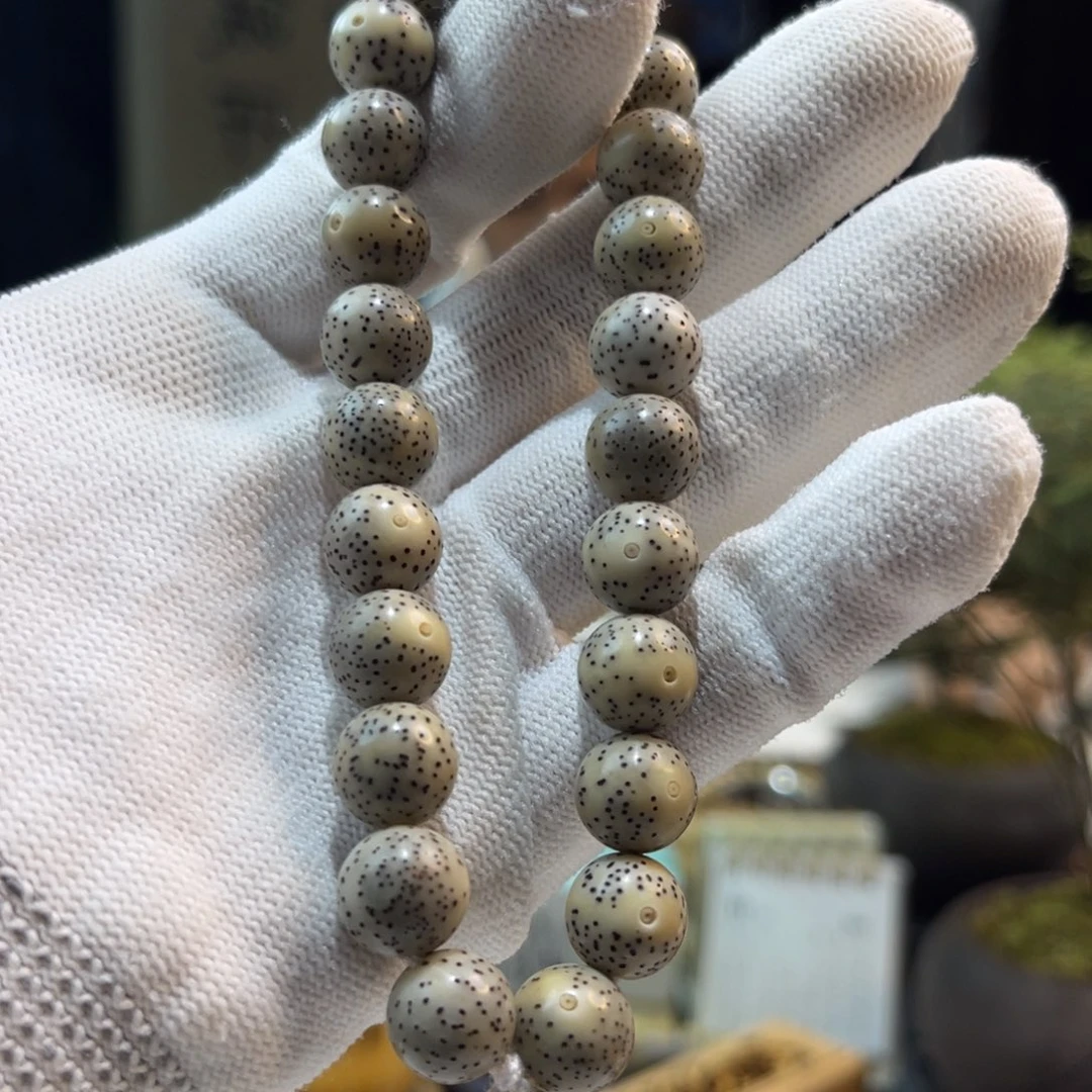 手串星月菩提瓷白A1