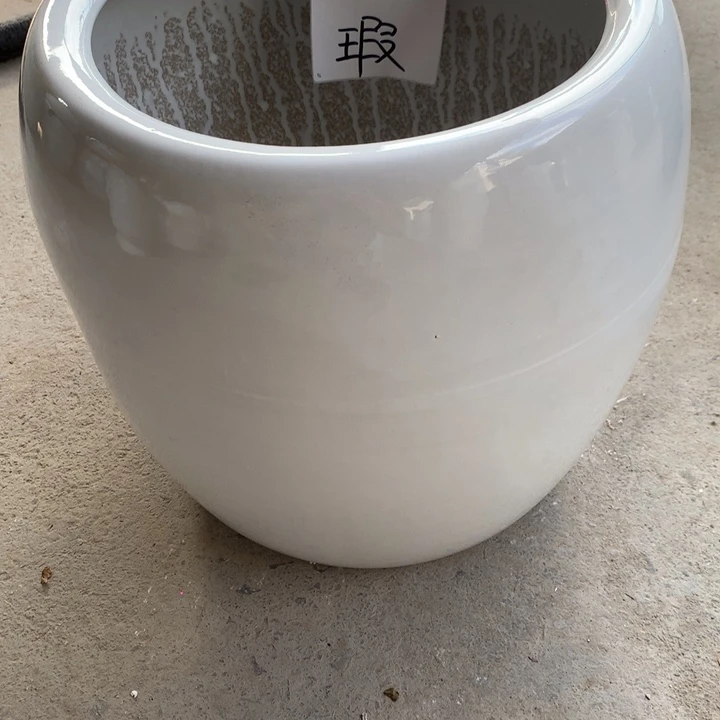 花盆里的小猫咪们都好可爱啊哈哈