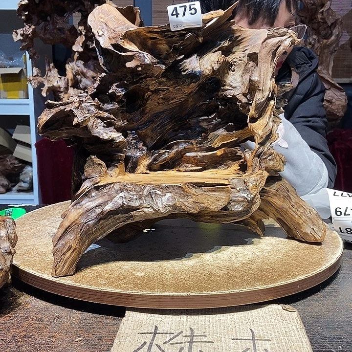 多***米475。株木随行根艺