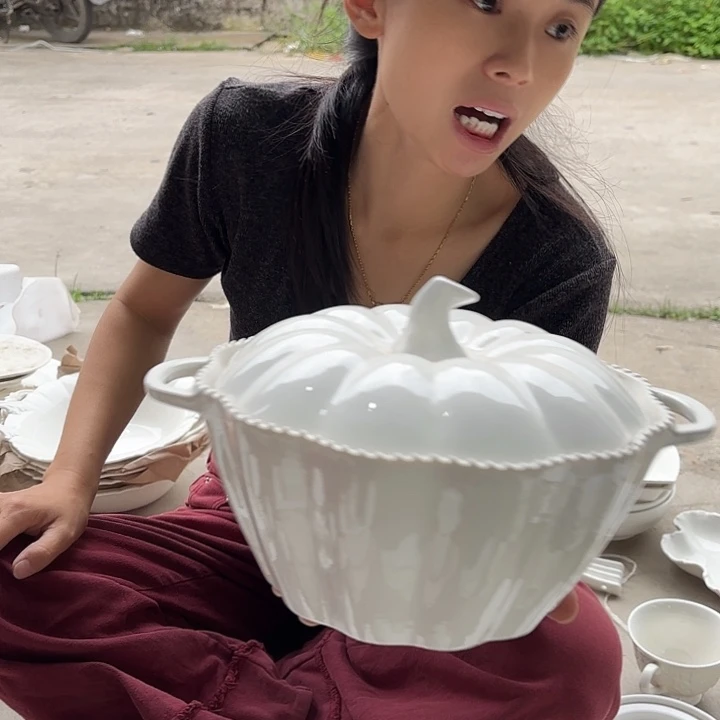 碟08 工厂库存微瑕产品