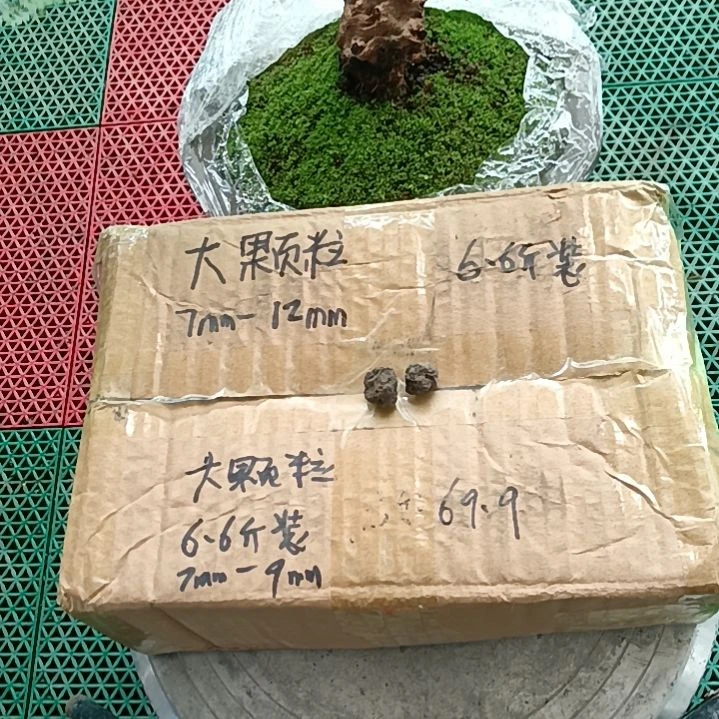 阿***林兰菌颗粒   大颗粒6.6斤