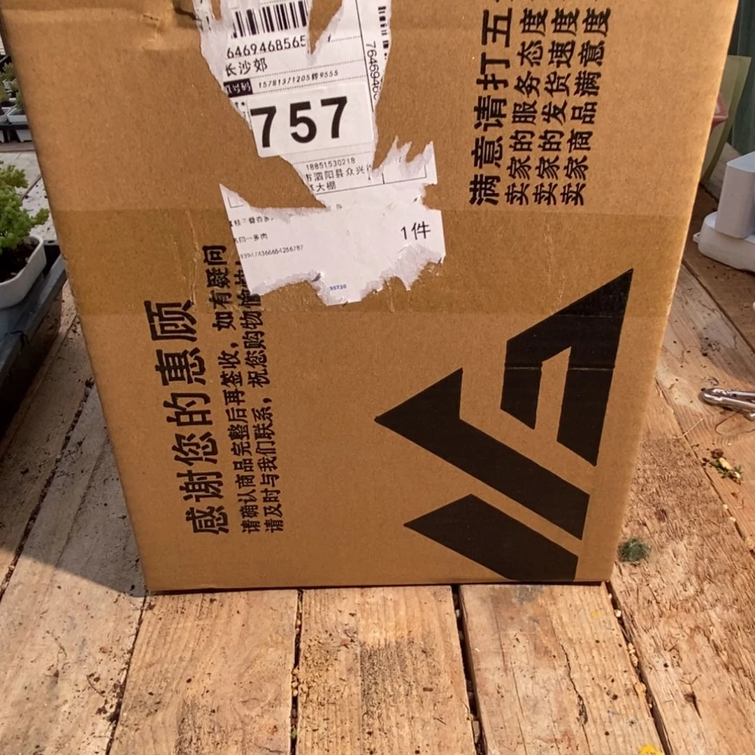 ?***?枝干番杏多肉植物757