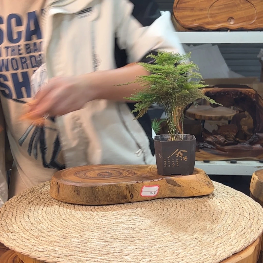 香樟木原木产品木头