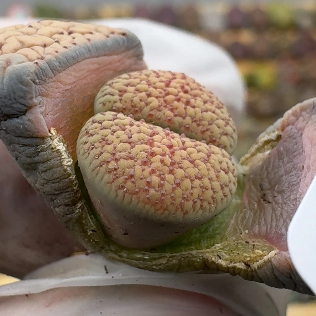 674哈哈哈哈哈哈哈哈哈哈哈