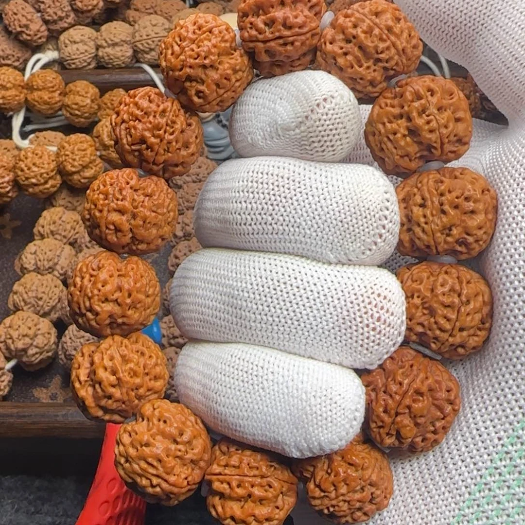 菩提金刚菩提21梅花