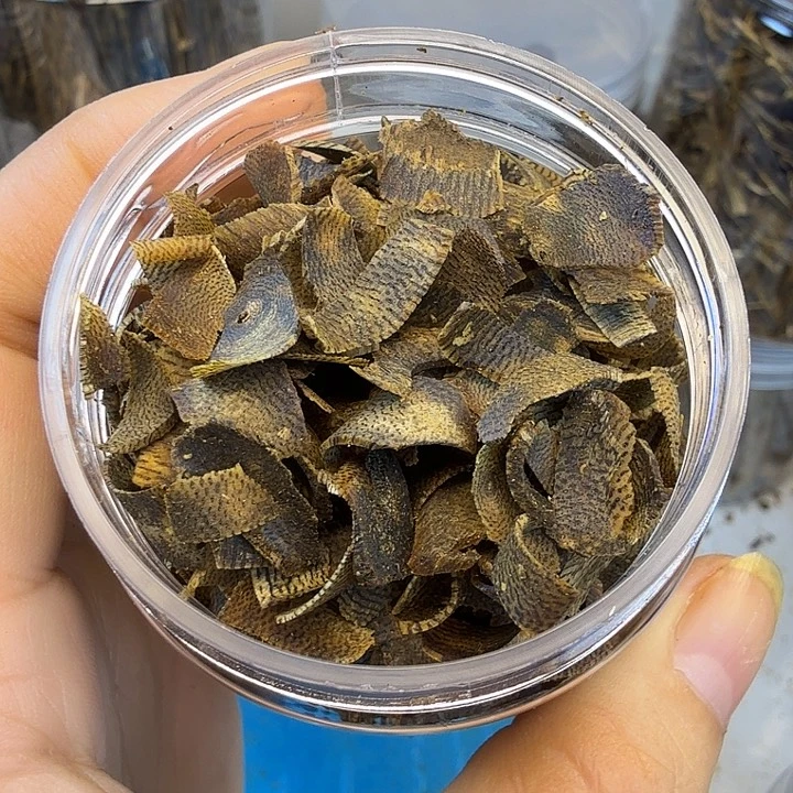 菲***线香棋楠的红骨凹身高油手工切片21克