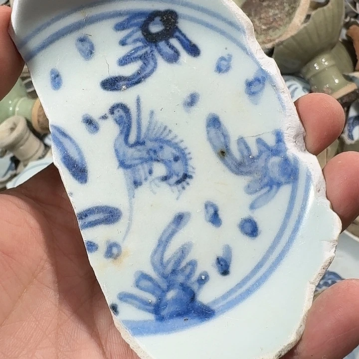 家***羊瓷片瓷片标本，顺丰包邮