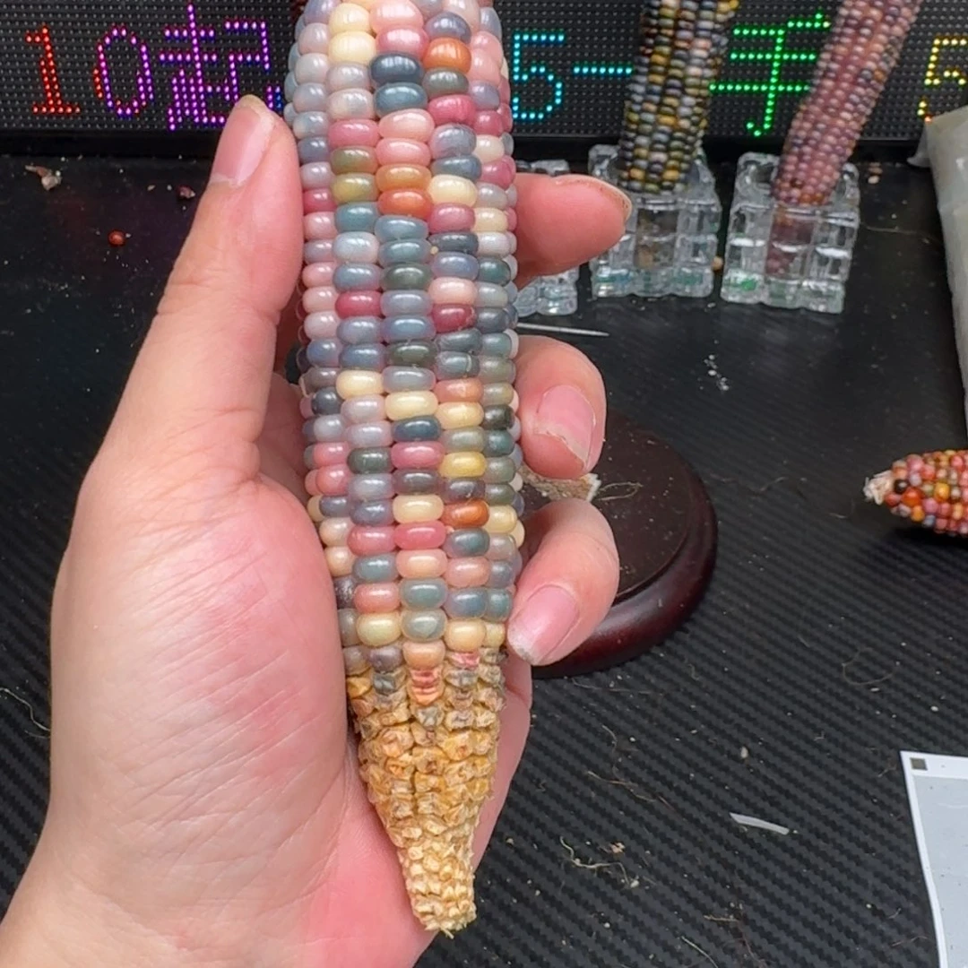 柏香籽/百香籽吊坠忘***山