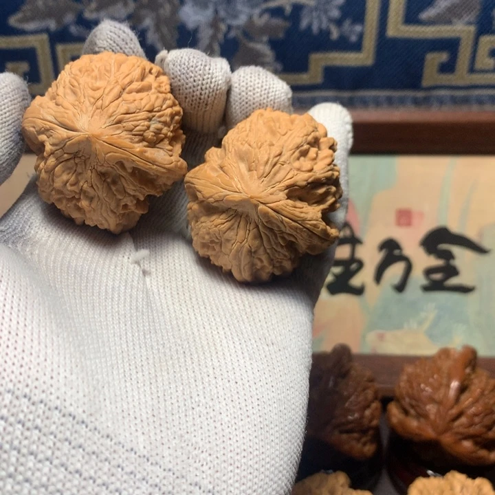 未****哈哈哈哈哈哈哈哈哈哈哈哈