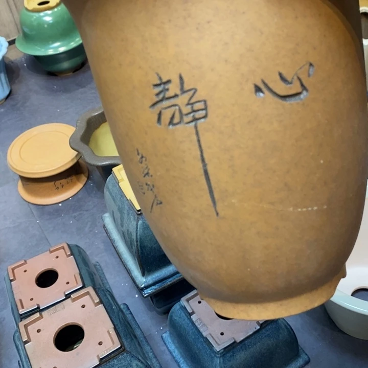 紫砂花盆逍福利来啦