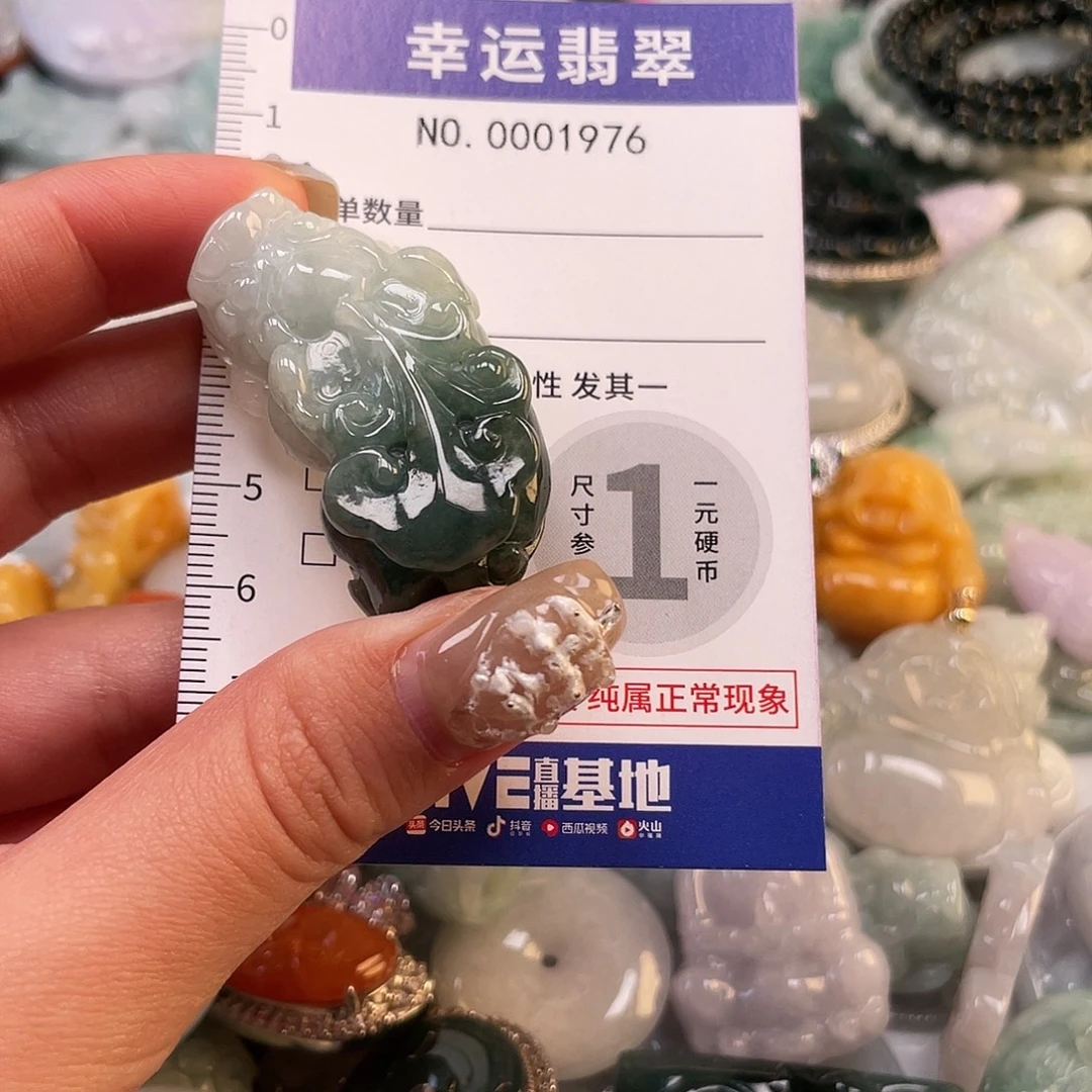 翡翠未镶嵌颈饰1976