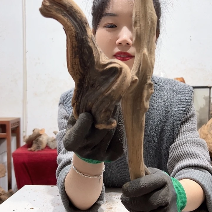 柏木闽**艺我们的生活是