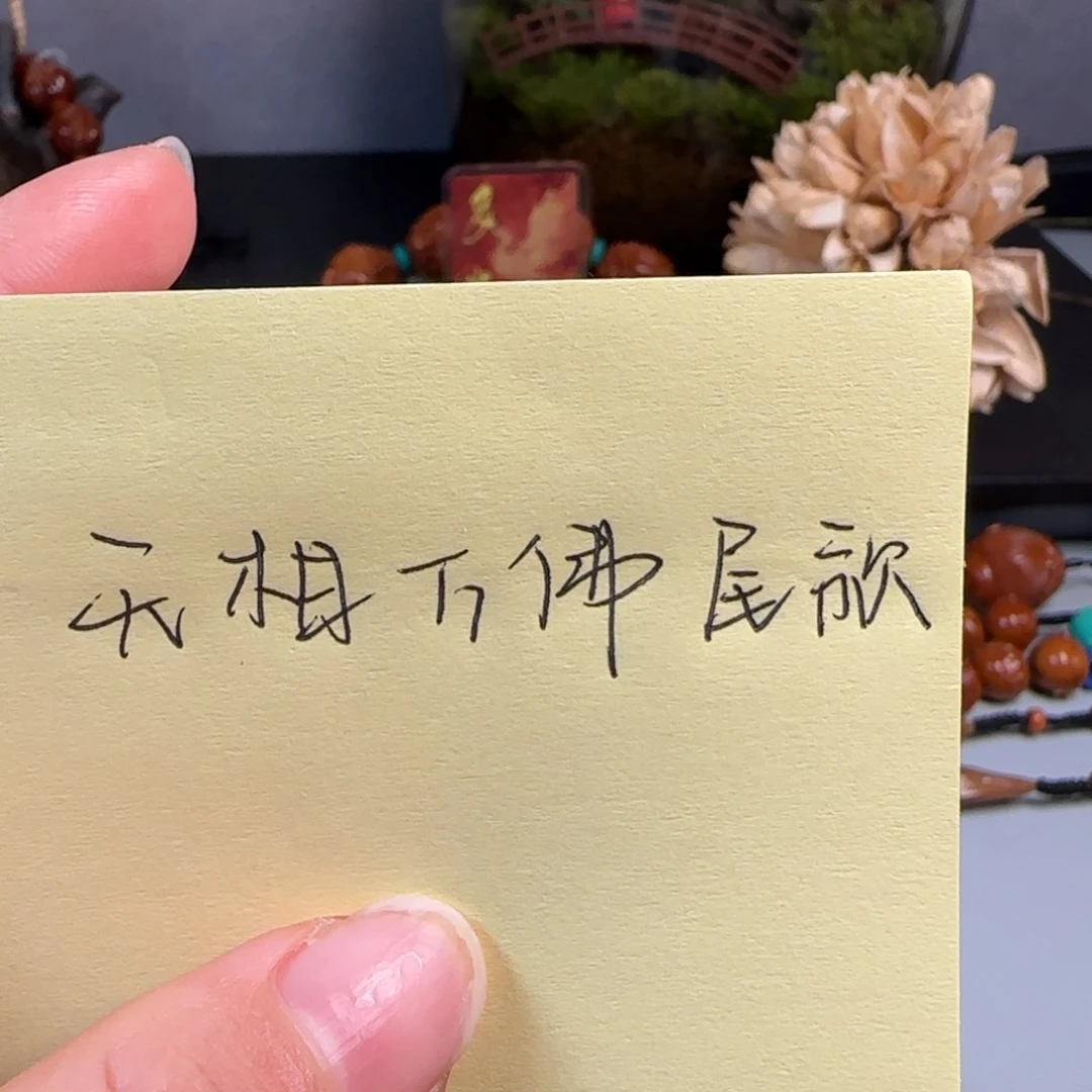 橄榄核手串/手链孤****涯预定无相万佛尾款